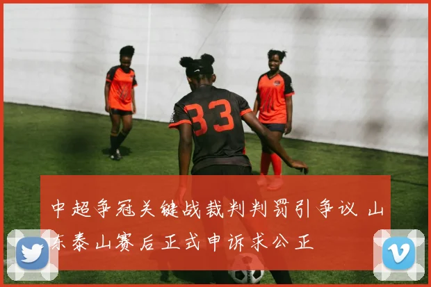 中超争冠关键战裁判判罚引争议 山东泰山赛后正式申诉求公正