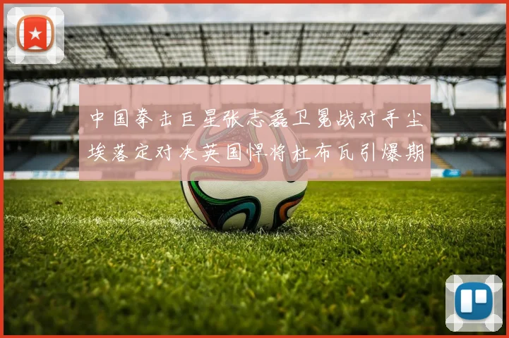 中国拳击巨星张志磊卫冕战对手尘埃落定对决英国悍将杜布瓦引爆期待